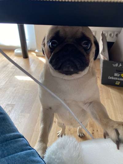 Un...scharf Bilder-Beitrag-Bild