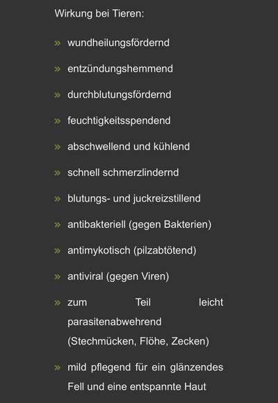 Brachycephale Hunderassen-Beitrag-Bild