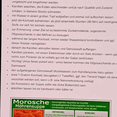 Extremes Erbrechen und Durchfall bei ca 16Jahre alten Hund-Beitrag-Bild