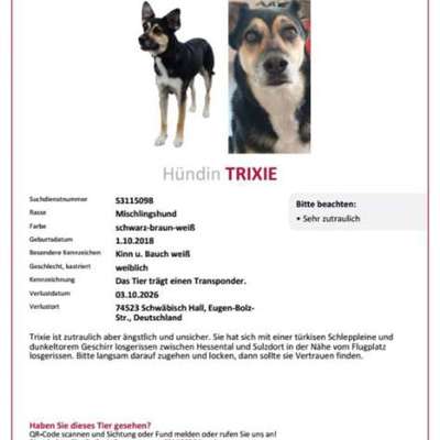 Suchmeldung-Trixie-Bild