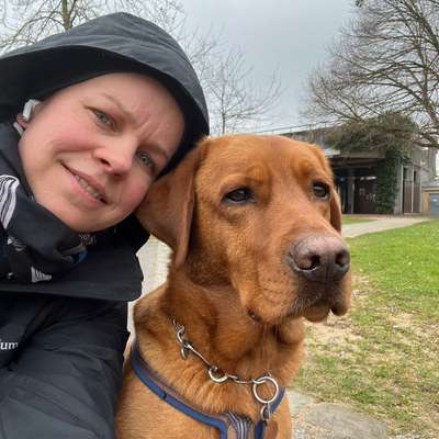 Hundetreffen-Gemeinsame Spaziergänge oder Wanderungen-Bild