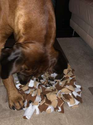 Selbstgemachte Artikel für Hunde-Beitrag-Bild