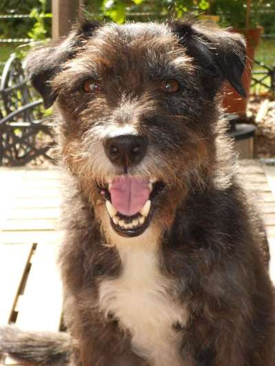 Theos Fotochallenge Nr. 3-Beitrag-Bild