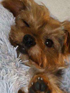 Theos Fotochallenge Nr. 3-Beitrag-Bild