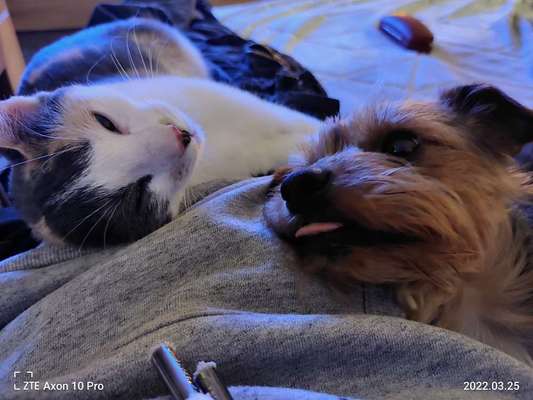 Handyfoto challenge Nr. 13: Waschlappen raus!-Beitrag-Bild