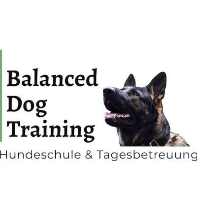 Hundepension Balanced Dog Training in Lohfelden  – Dogorama