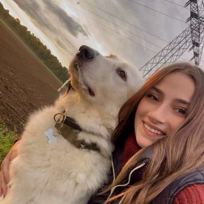 Hundetreffen-Gemeinsam laufen 🐕-Bild