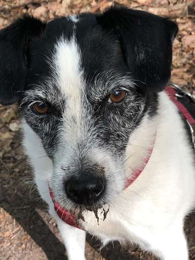 Fotochallange Nr. 57     PORTRÄT.   Beendet!!!!!!!!-Beitrag-Bild