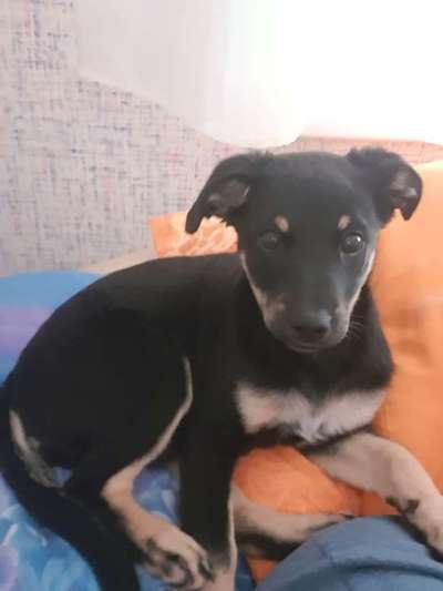 Gemeinsames Kuscheln im Bett!-Beitrag-Bild