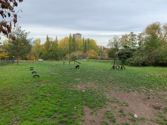 Hundeauslaufgebiet-Hundewiese Luisenstraße-Bild