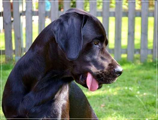 Fotowettbewerb Natur-Beitrag-Bild