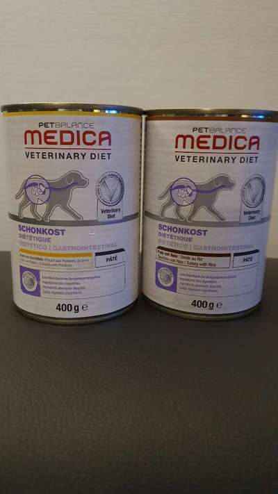 Havaneser dabei?:)-Beitrag-Bild