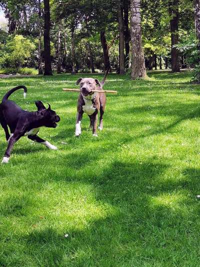 Foto-Challenge Nr. 90: Lebensfreude-Beitrag-Bild