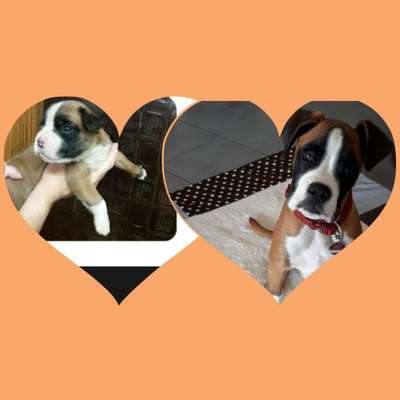 Vorher.... Nachher-Beitrag-Bild