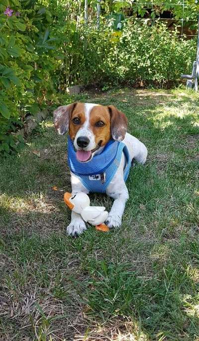 Lieblingsbild :D-Beitrag-Bild