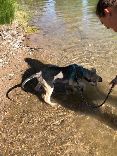 Foto Challenge - BEENDET - bitte aktuelle Challenge nutzen-Beitrag-Bild