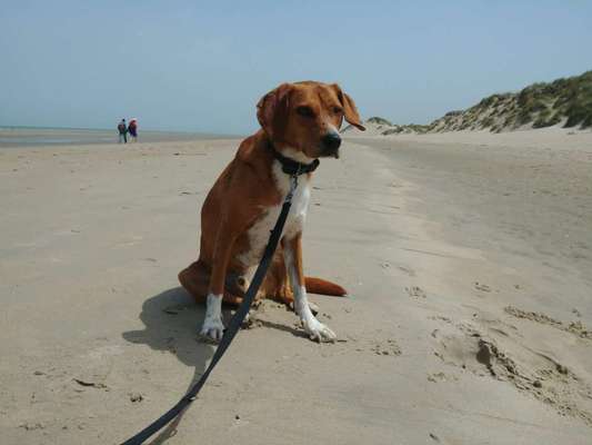 Doppelgänger gesucht !-Beitrag-Bild