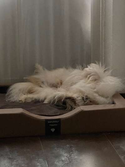 Die unbequemsten und lustigsten Schlafpositionen-Beitrag-Bild