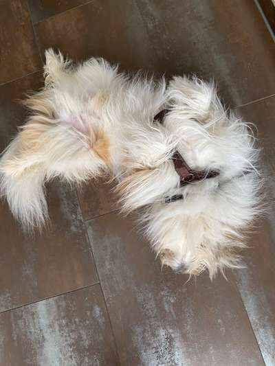 Die unbequemsten und lustigsten Schlafpositionen-Beitrag-Bild