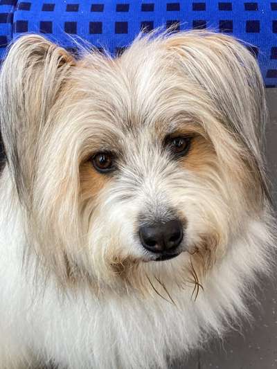 Fotochallange Nr. 57     PORTRÄT.   Beendet!!!!!!!!-Beitrag-Bild