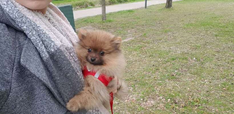 Das erste Foto-Beitrag-Bild