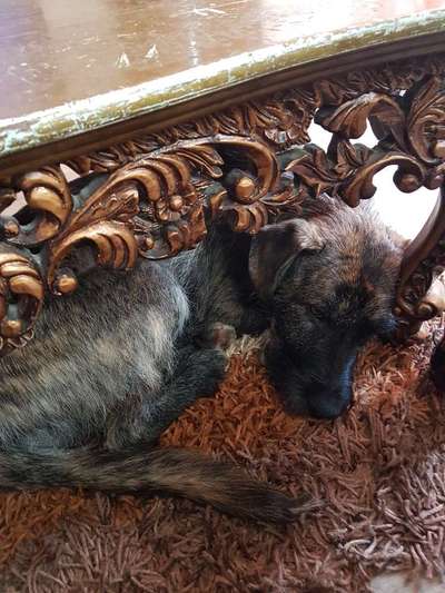 Erstes Bild-Beitrag-Bild