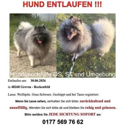 Suchmeldung-Lasse-Bild