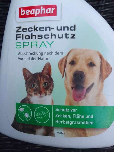 Floh und Zeckenmittel-Beitrag-Bild
