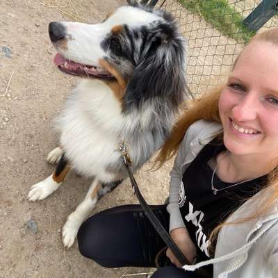 Hundetreffen-Welpen/Junghund Treffen