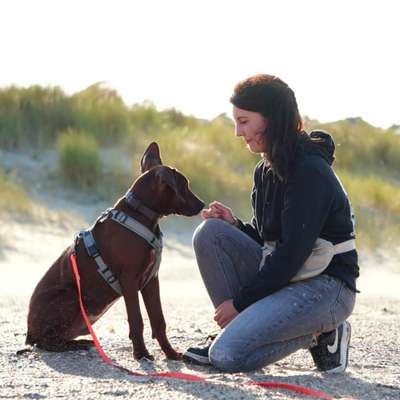 Hundetreffen-Ridgeback Power sucht Power Buddy