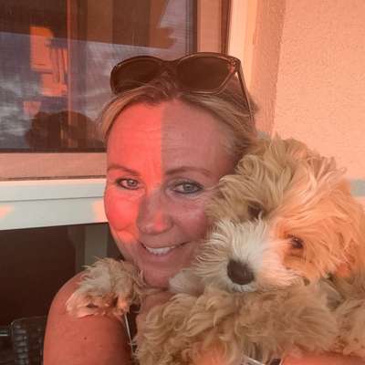 Hundetreffen-Welpentreffen in Henstedt-Ulzburg-Profilbild