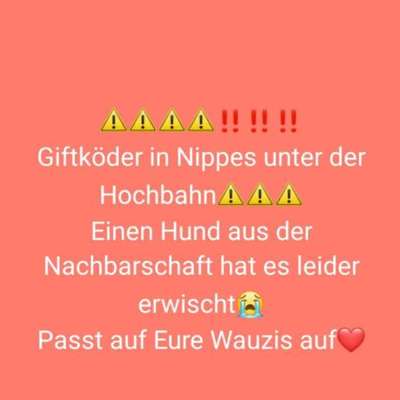 Giftköder-Giftköder-Bild