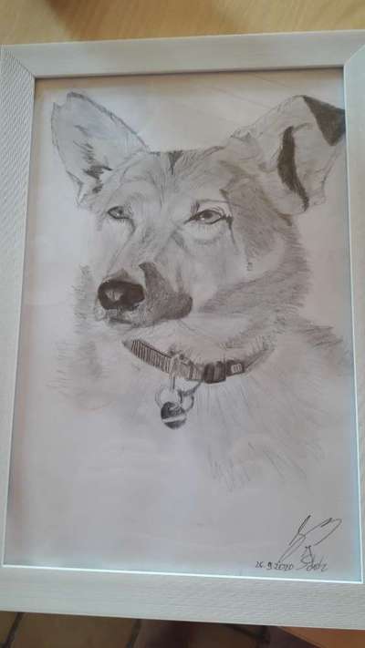 Zeichnungen Eurer Hunde !?-Beitrag-Bild