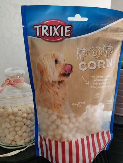 Cavalier King Charles Spaniel?-Beitrag-Bild