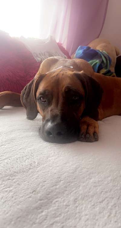 Fotochallange Nr. 57     PORTRÄT.   Beendet!!!!!!!!-Beitrag-Bild