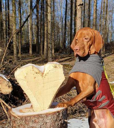 Fotowettbewerb Natur-Beitrag-Bild