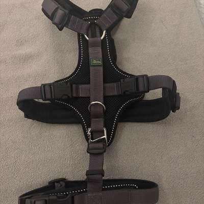 Fahrrad Anhänger, Geschirr & Halsband-Beitrag-Bild