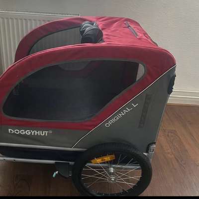 Fahrrad Anhänger, Geschirr & Halsband-Beitrag-Bild