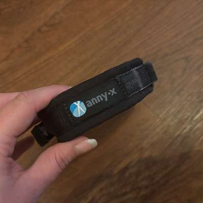 Fahrrad Anhänger, Geschirr & Halsband-Beitrag-Bild