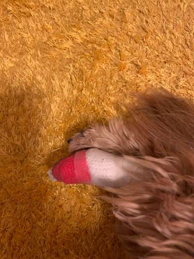 Grannen-Beitrag-Bild