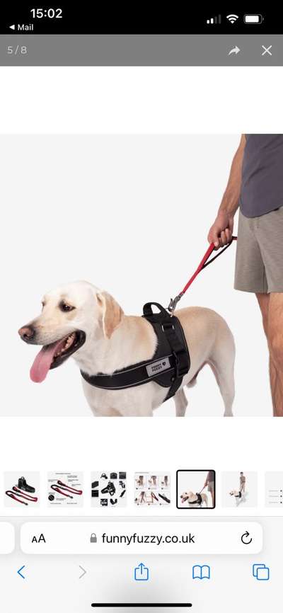 Hundetreffen-Hunde Treffen in Tönisvorst-Vorst und Umgebung bis Krefeld-Bild