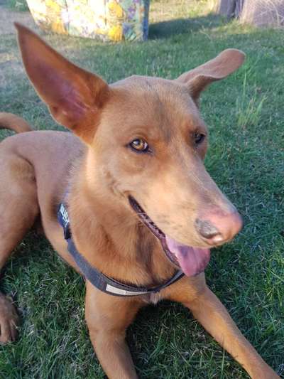 Zeigt eure Portraits-Beitrag-Bild