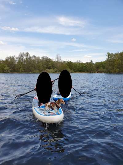 Dogorama-Monats-Challenge-Mai "Wasser"-Beitrag-Bild