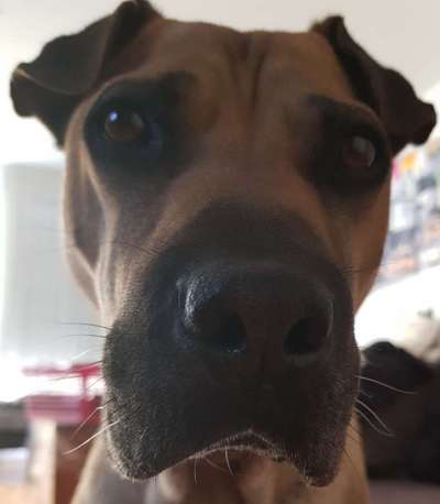 Fotochallange Nr. 57     PORTRÄT.   Beendet!!!!!!!!-Beitrag-Bild