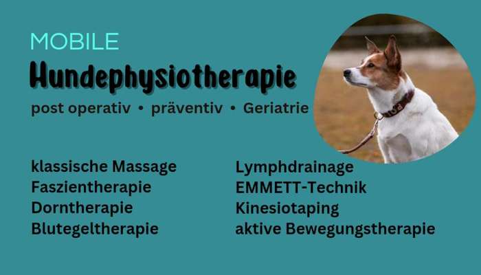 Giftköder-Tierphysiotherapie-Bild