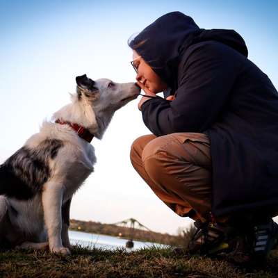 Hundetreffen-Social Walk