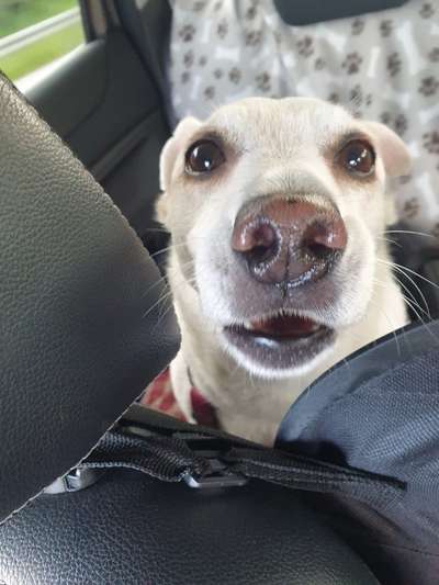 Fotochallange 84-Beitrag-Bild