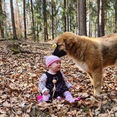 Hundetreffen-Hallo zusammen-Profilbild