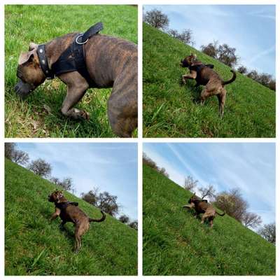 Lieblings "nervige Sprüche"-Beitrag-Bild