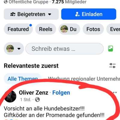 Giftköder-Giftköder Würstchen mit Reisszwecken-Bild